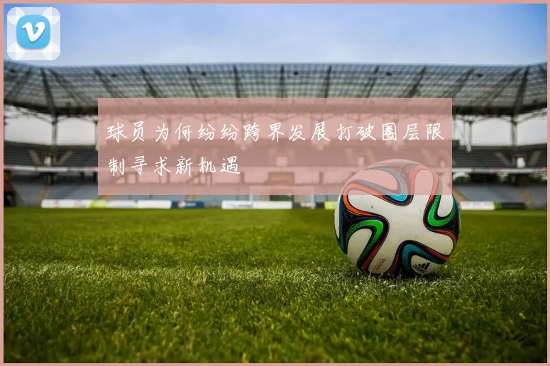 球员为何纷纷跨界发展打破圈层限制寻求新机遇